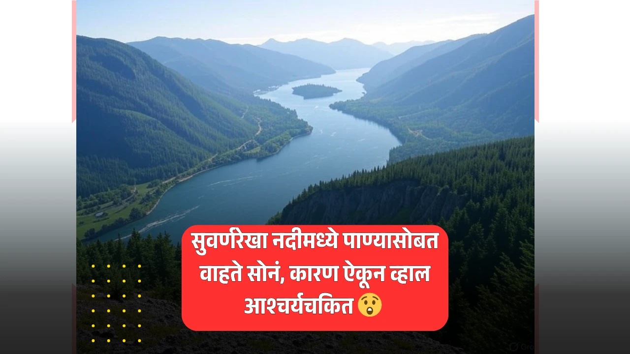 सुवर्णरेखा नदीमध्ये पाण्यासोबत वाहते सोनं, कारण ऐकून व्हाल आश्चर्यचकित