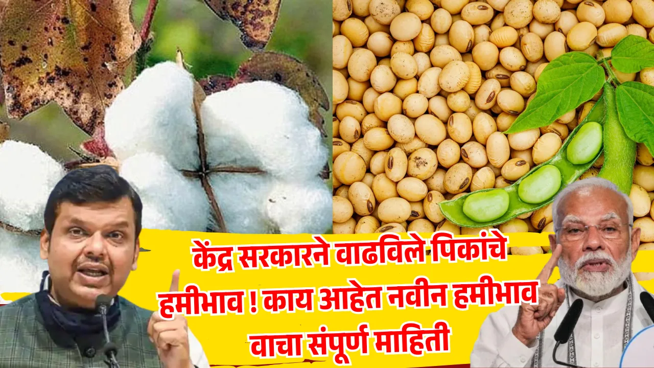 आज केंद्र सरकारने खरीप पिकांच्या किमान आधारभूत किंमती (MSP) म्हणजेच हमीभावात वाढ जाहीर केली आहे. सोयाबीन, कापूस, तूर, मूग, उडीद यासह 14 खरीप पिकांच्या हमीभावात ही वाढ झाली आहे. पण प्रश्न असा आहे की, हमीभाव वाढले तरी शेतकऱ्यांना खरंच फायदा होणार का? बाजारभाव वाढतील का? हमीभाव जाहीर झाल्यानंतर प्रत्यक्षात शेतकऱ्यांना त्याचा फायदा होतो का ? याबाबत आपण सविस्तर माहिती पाहणार आहोत.