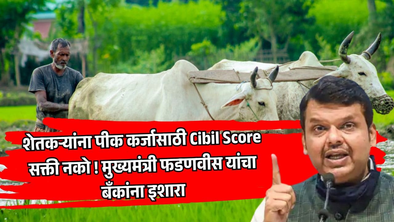 पण सिबिल स्कोअरच्या अडचणीमुळे अनेक शेतकरी कर्जापासून वंचित राहतात. अशा परिस्थितीत शेतकऱ्यांना खाजगी सावकारांचा आधार घ्यावा लागतो, ज्यामुळे त्यांचे आर्थिक संकट वाढते. माझ्या मते, सरकारने बँकांना कडक कारवाईचा इशारा देऊन शेतकऱ्यांना कर्ज मिळवून देण्यासाठी ठोस पावले उचलली पाहिजेत.