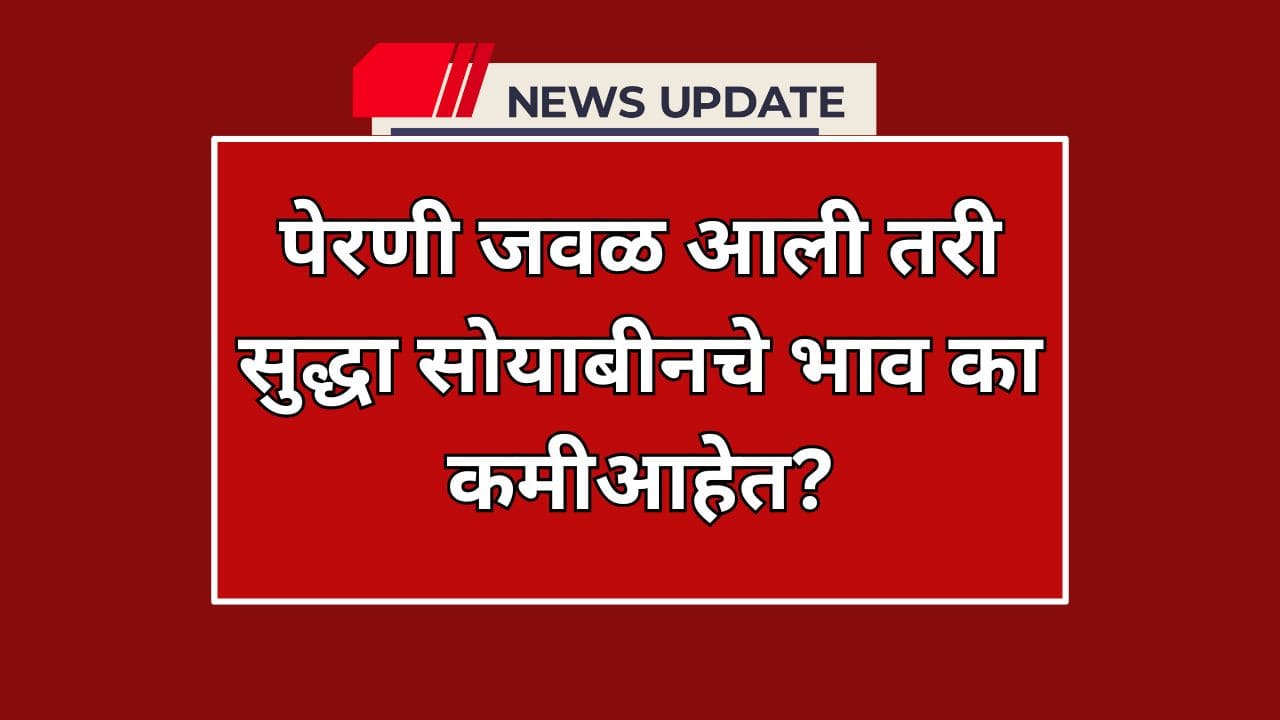 पेरणी जवळ आली तरी सुद्धा सोयाबीनचे भाव का कमीआहेत?