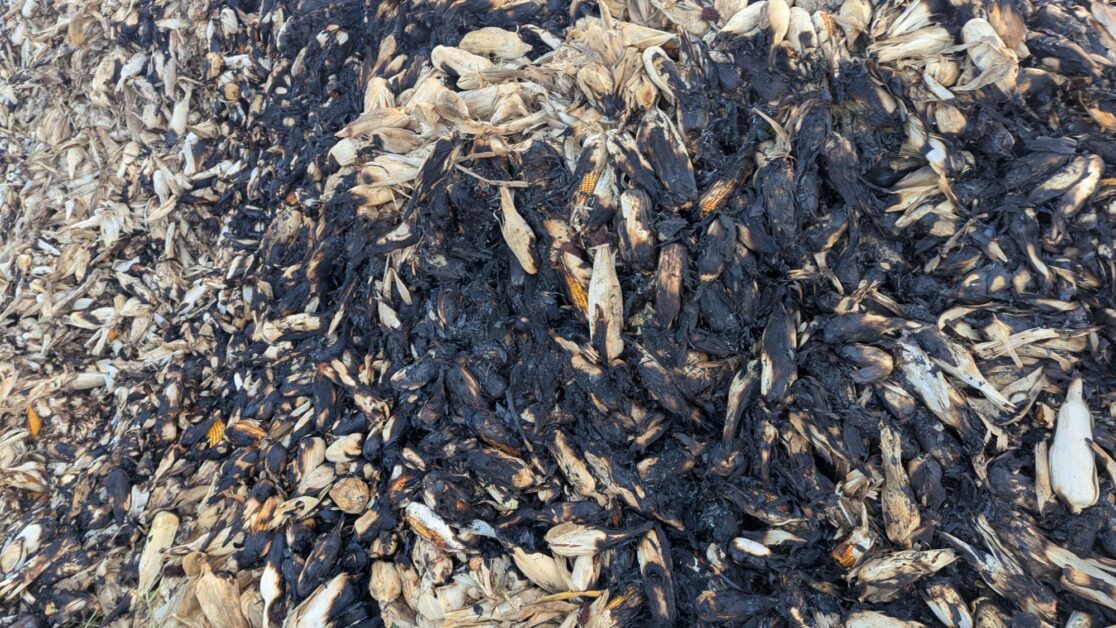 pxl 20251206 0221498648974017121923214981